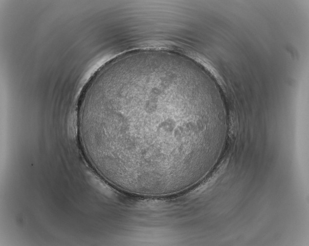 X0000114601075200911091312