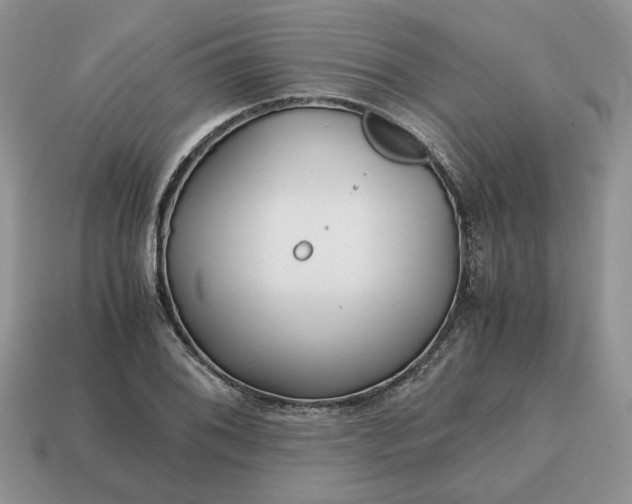 X0000114601076200911091312