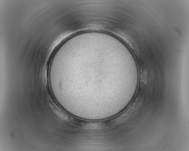 X0000114601078200911091312