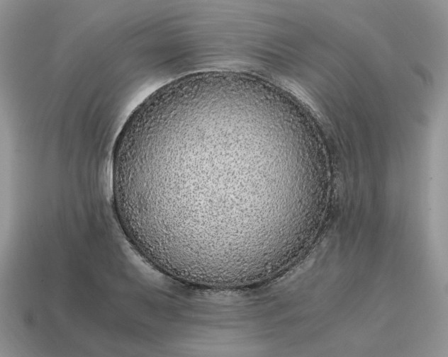 X0000114601079200911091312