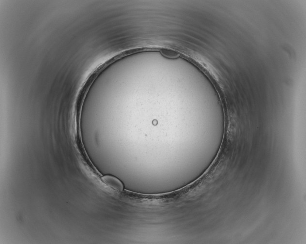 X0000114601080200911091312