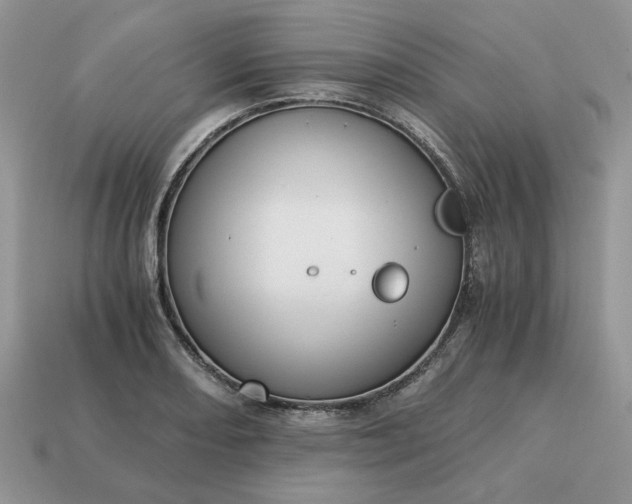 X0000114601082200911091312