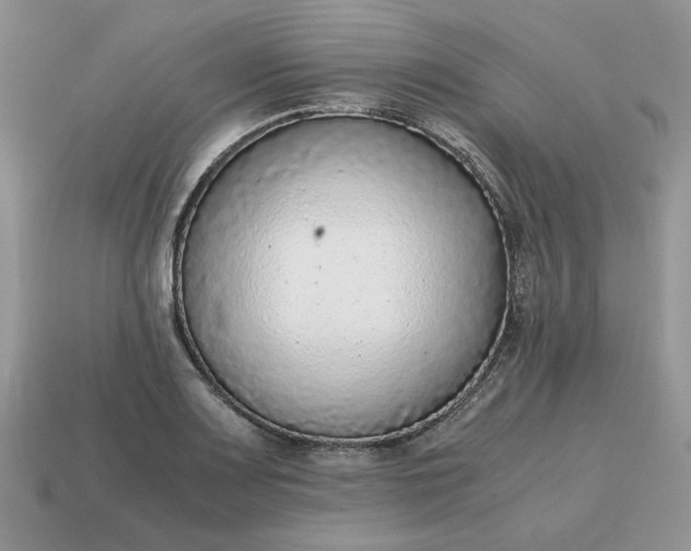 X0000114601083200911091312