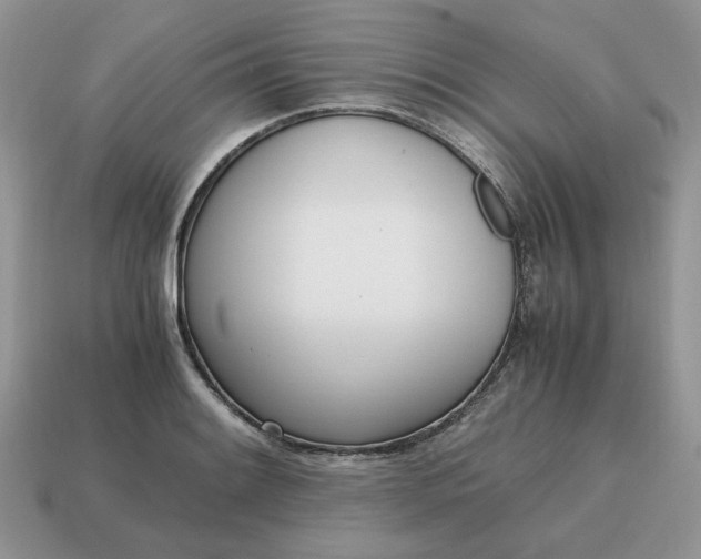 X0000114601084200911091312