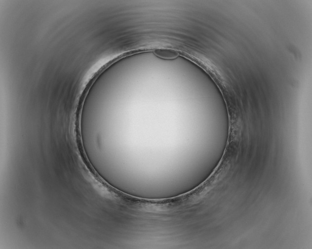 X0000114601086200911091312