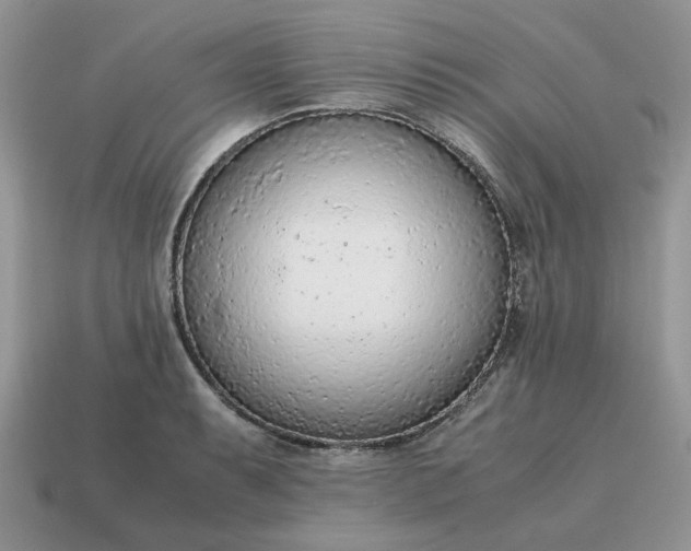 X0000114601087200911091312