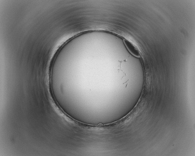 X0000114601088200911091312