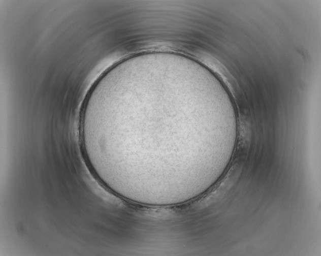 X0000114601090200911091312