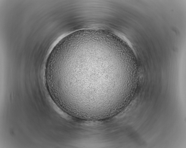 X0000114601091200911091312