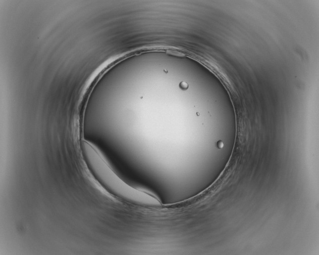 X0000114601092200911091312