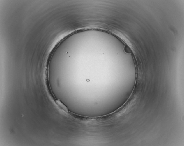 X0000114601093200911091312