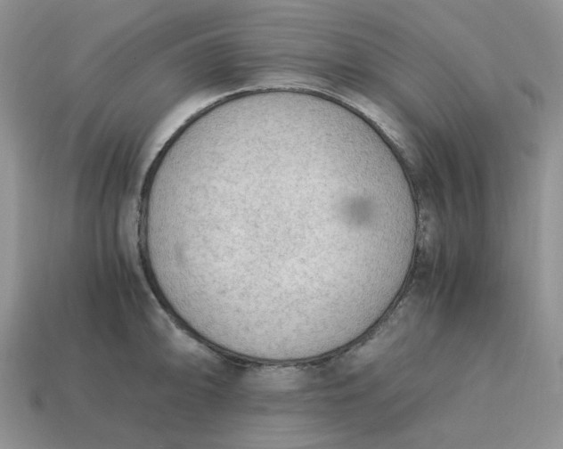 X0000114601094200911091312