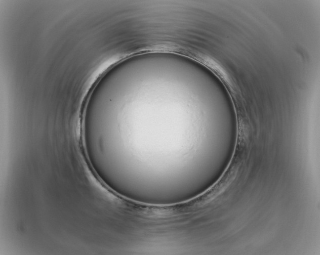 X0000114601095200911091312