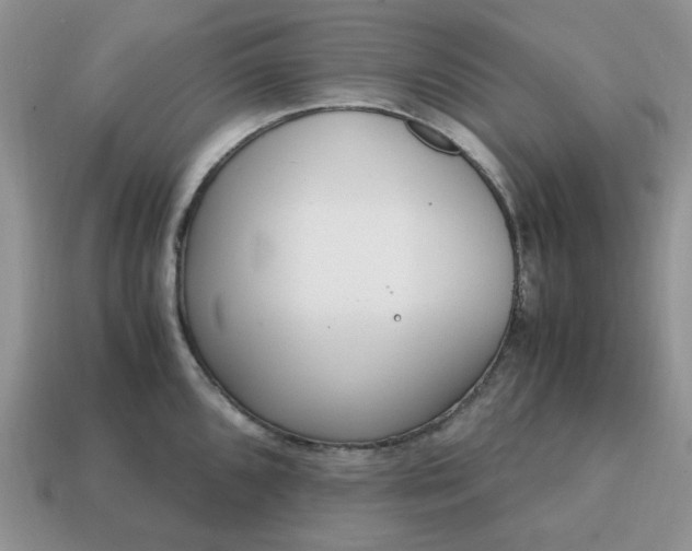 X0000114601096200911091312