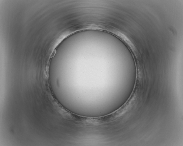 X0000114601097200911091312