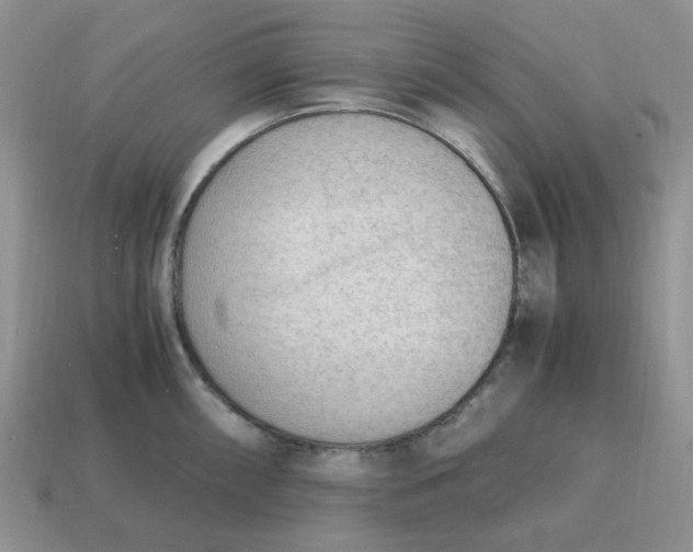 X0000114601098200911091312