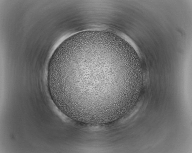 X0000114601099200911091312