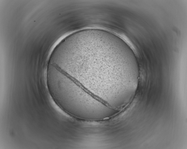 X0000114601100200911091312