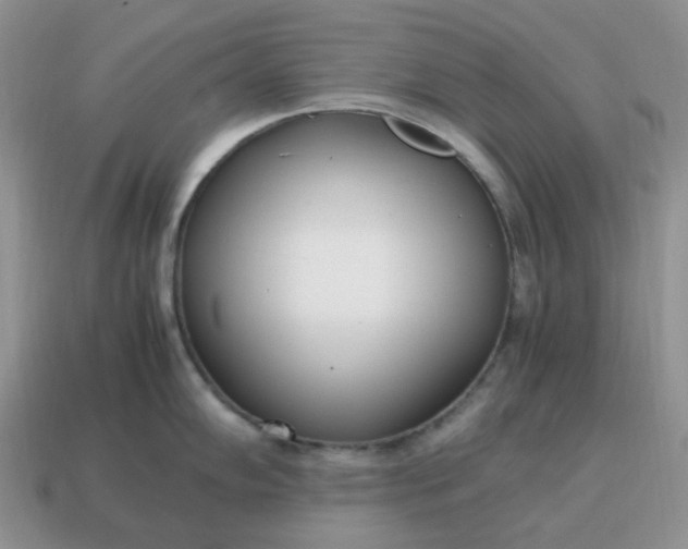 X0000114601102200911091312