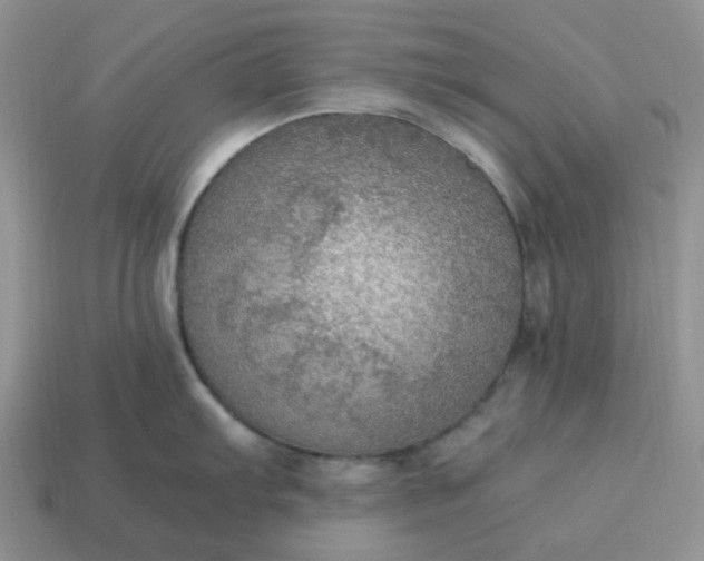 X0000114601103200911091312