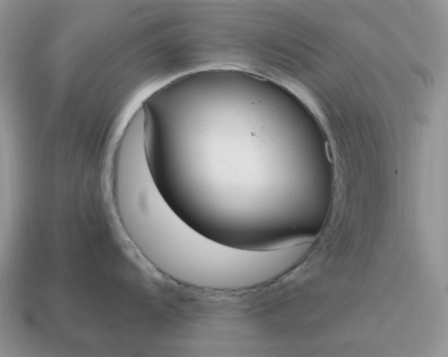 X0000114601104200911091312