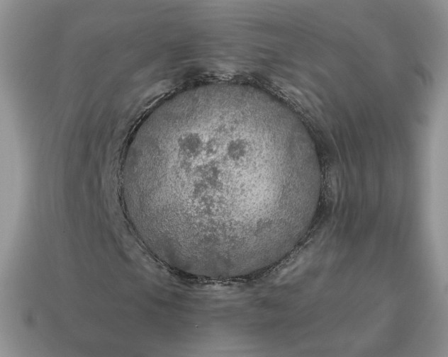 X0000114601105200911091311