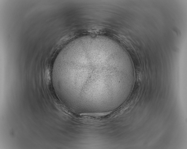 X0000114601106200911091311