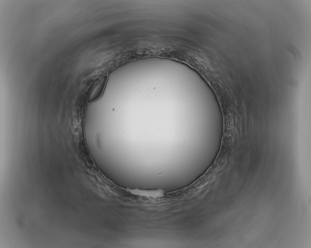 X0000114601109200911091311