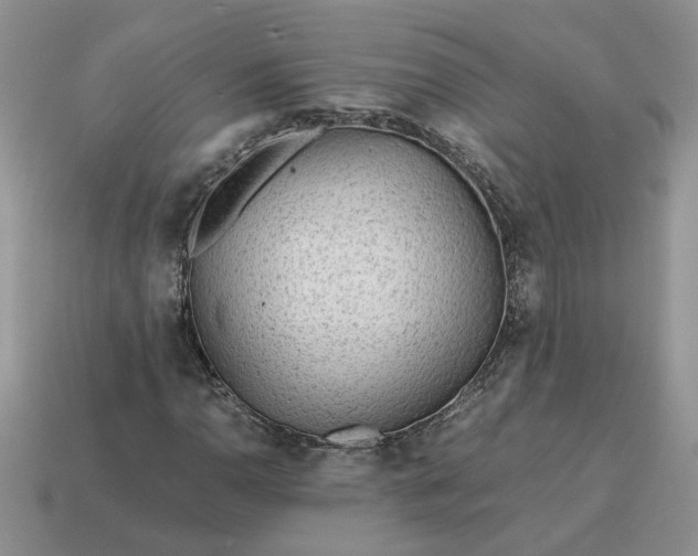 X0000114601110200911091311