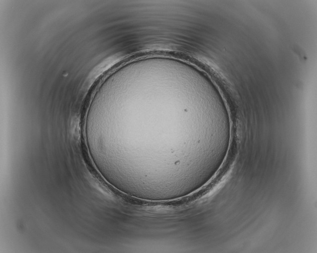 X0000114601113200911091311