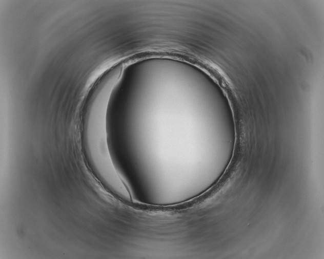 X0000114601114200911091311