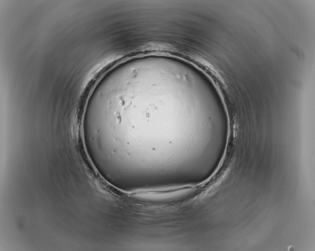 X0000114601117200911091311