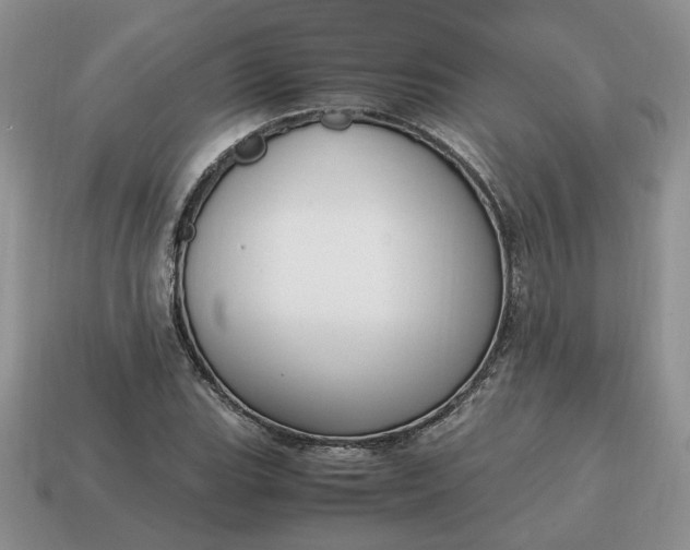 X0000114601119200911091312