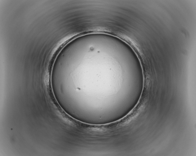 X0000114601125200911091312