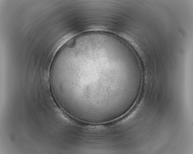 X0000114601129200911091312