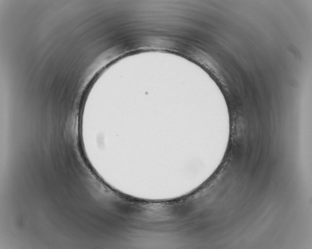 X0000114601130200911091312