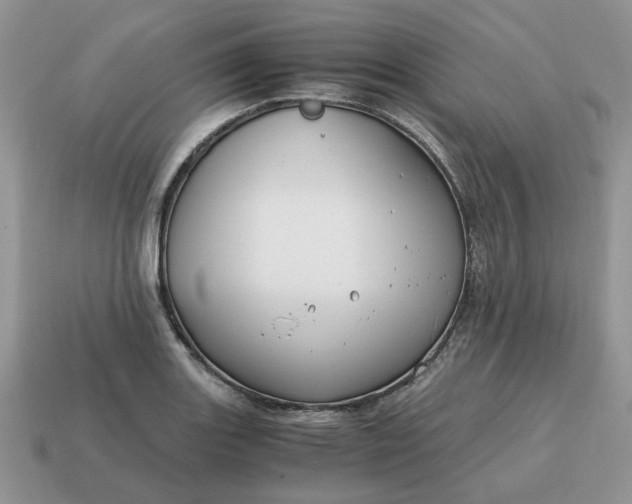 X0000114601131200911091312