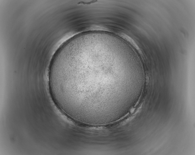 X0000114601133200911091312