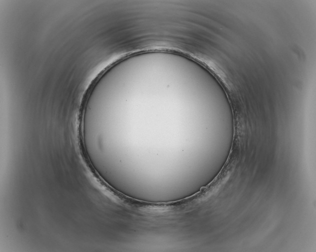 X0000114601134200911091312