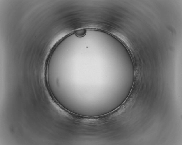 X0000114601135200911091312