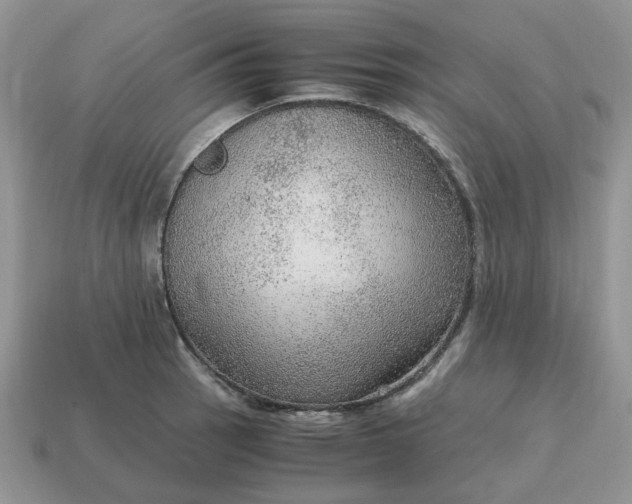 X0000114601137200911091312