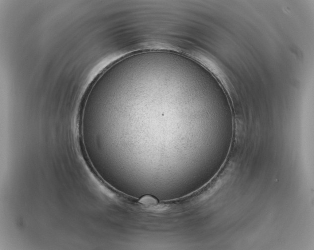 X0000114601141200911091312