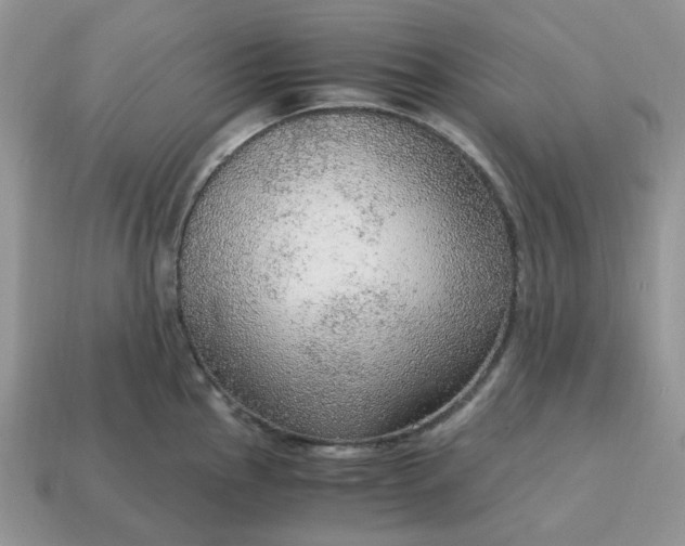 X0000114601145200911091312