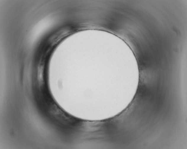 X0000114601150200911091312