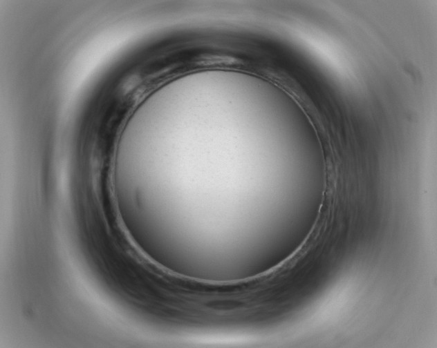 X0000114601151200911091312