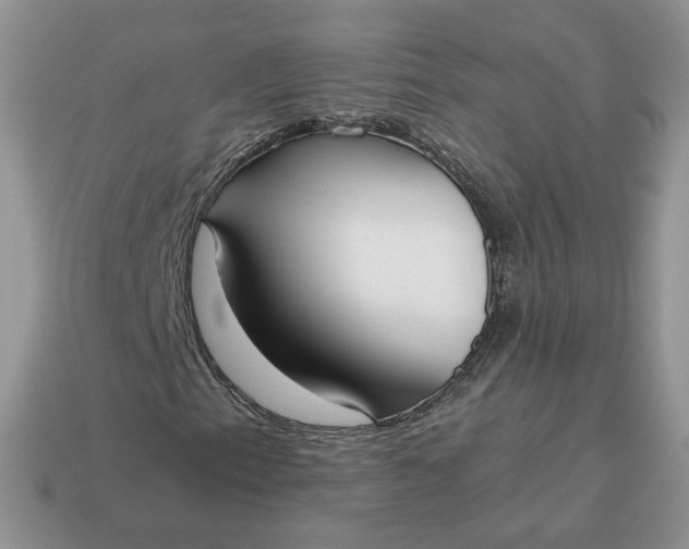 X0000114601153200911091311