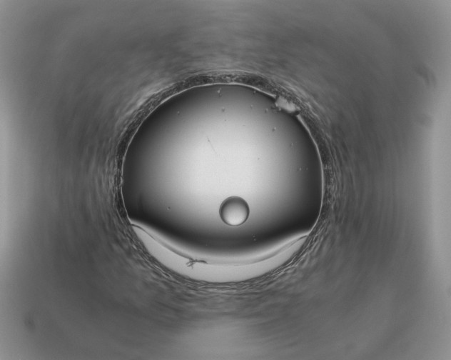 X0000114601157200911091311