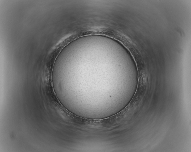 X0000114601158200911091311