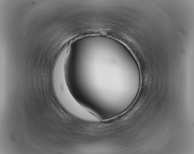 X0000114601161200911091311