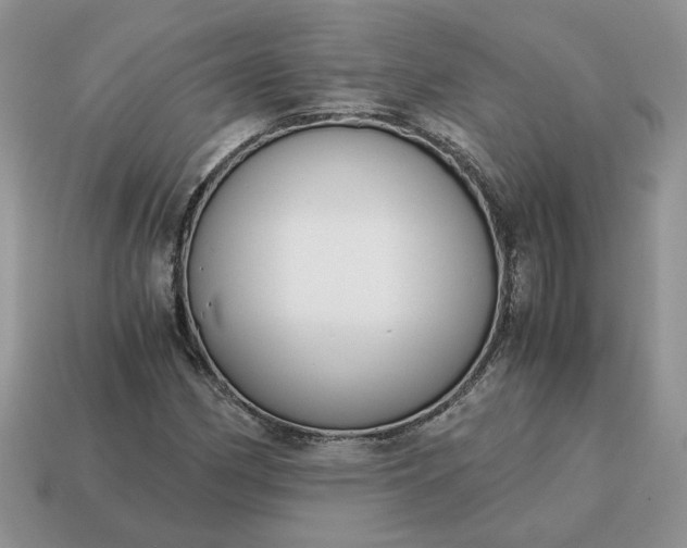 X0000114601162200911091311